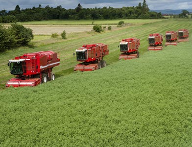 Une conception ax&eacute;e sur la croissance