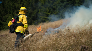 Preserving the cultural landscape in Germany