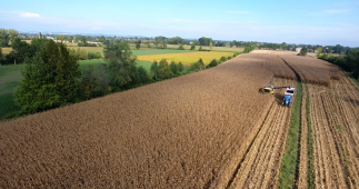 Precision Farming in Northern Italy