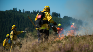 Il fuoco &egrave; la soluzione