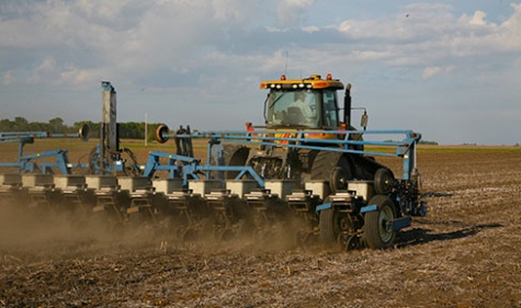 Une plantation optimale pour une efficacit&eacute; optimale